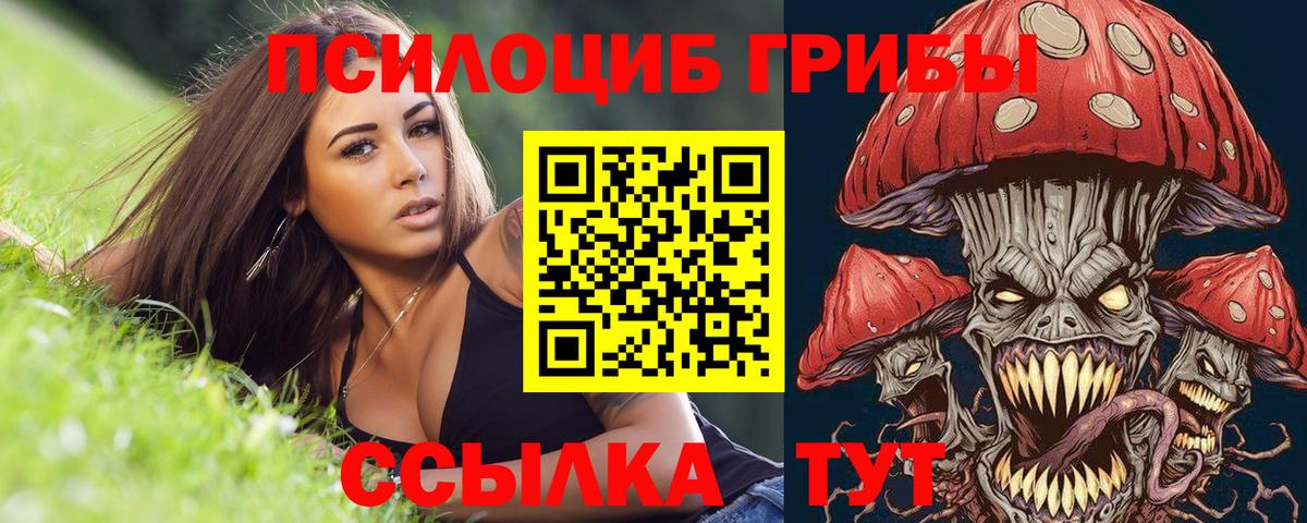 Галлюциногенные грибы Cubensis  Вход с VPN  Первоуральск 
